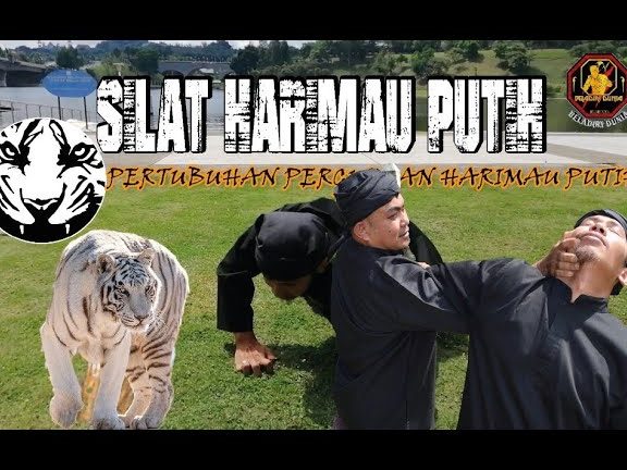 HARIMAU PUTIH MUAYTHAI GYM KEDAH 1 harimau putih muaythai gym kedah