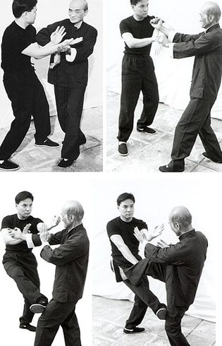 Hong Yu Wing Chun Martial Art 1 hong yu wing chun martial art