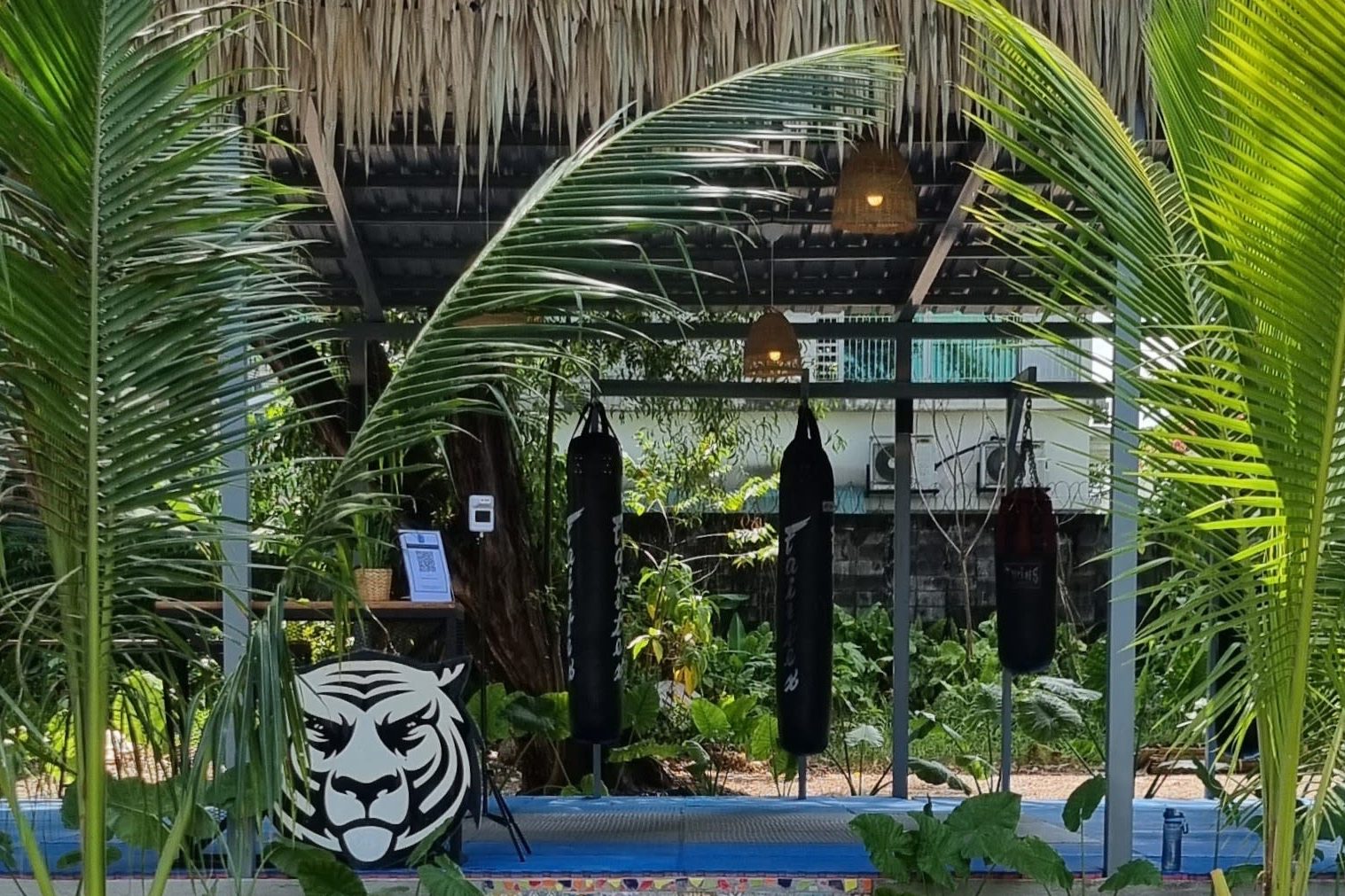 merican muay thai gym damansara jaya