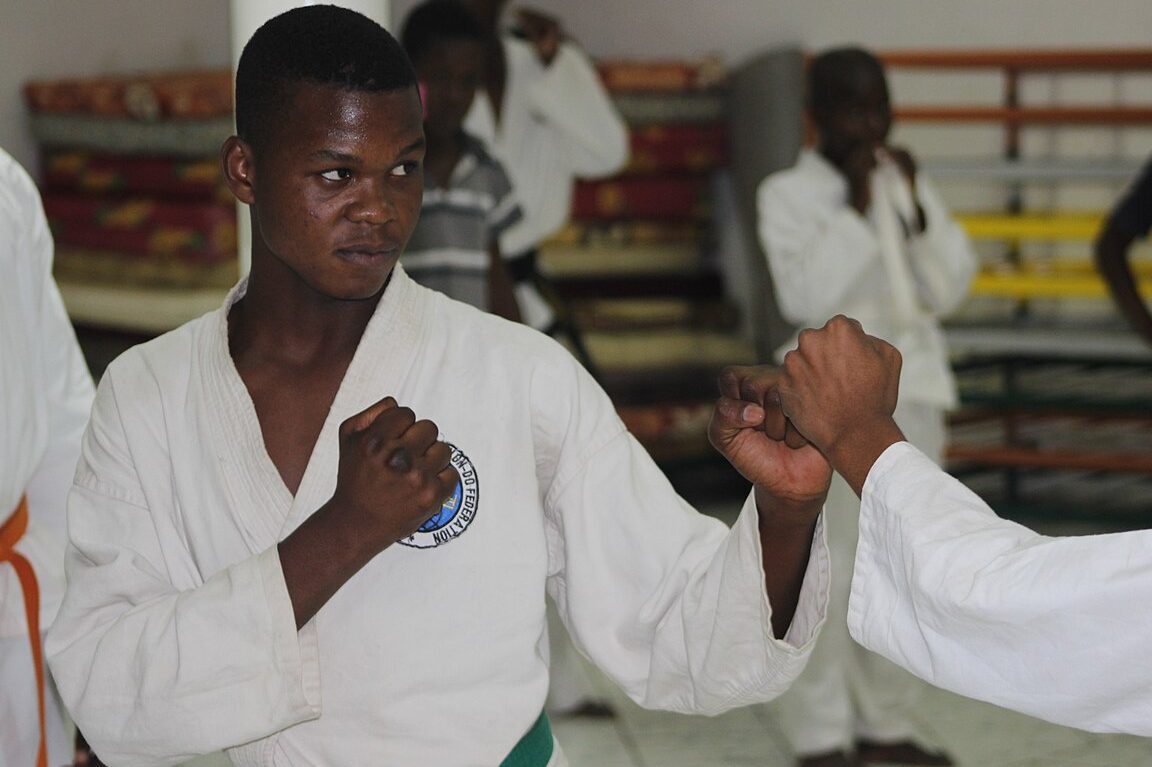 mr taekwondo