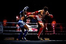 muay thai en nibong tebal