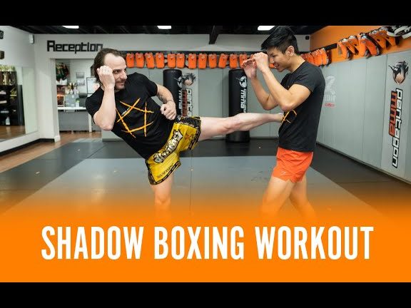 Shadow PGS Martial Arts Gym 1 shadow pgs martial arts gym