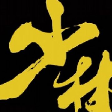 shaolin club pte ltd