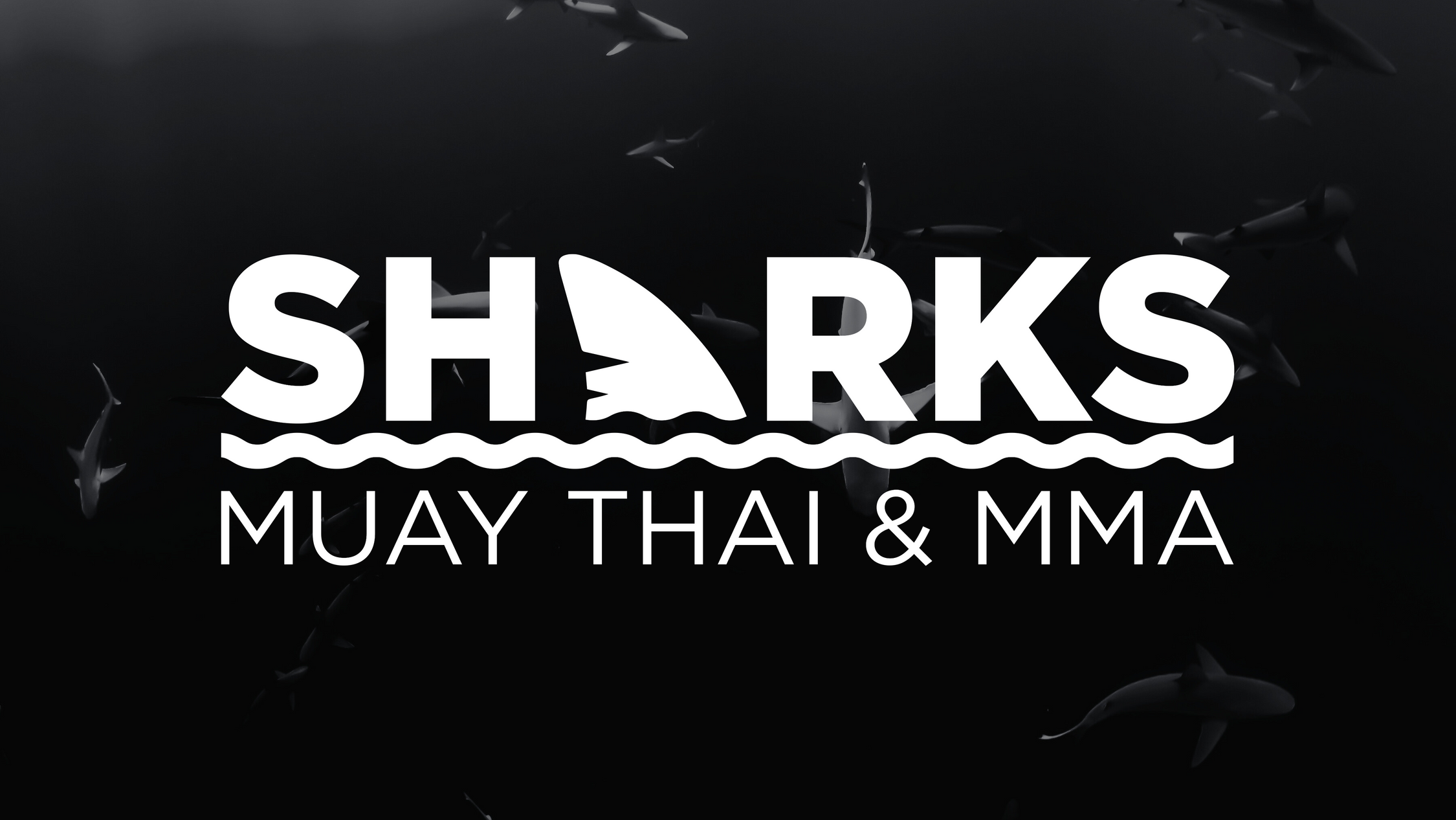 Sharks Muay Thai & MMA | Malacca Branch 1 sharks muay thai mma malacca branch