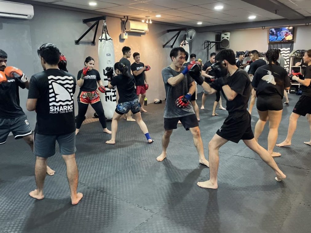 Sharks Muay Thai & MMA | Sunway Branch 1 sharks muay thai mma sunway branch