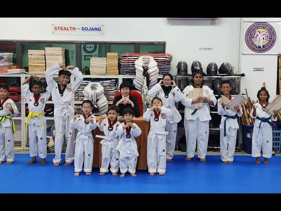The Stealth Martial Arts Taekwondo Academy 1 the stealth martial arts taekwondo academy 1