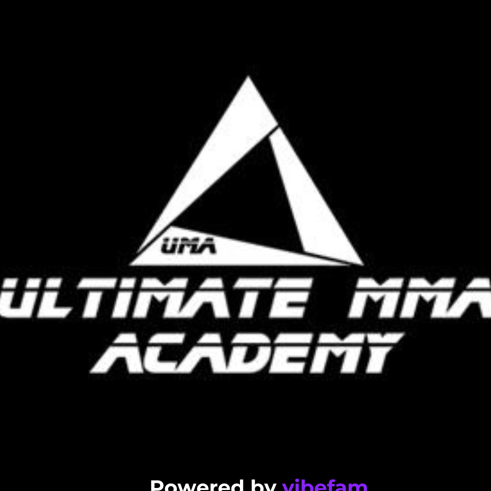 Ultimate Mixed Martial Arts Academy 1 ultimate mixed martial arts academy