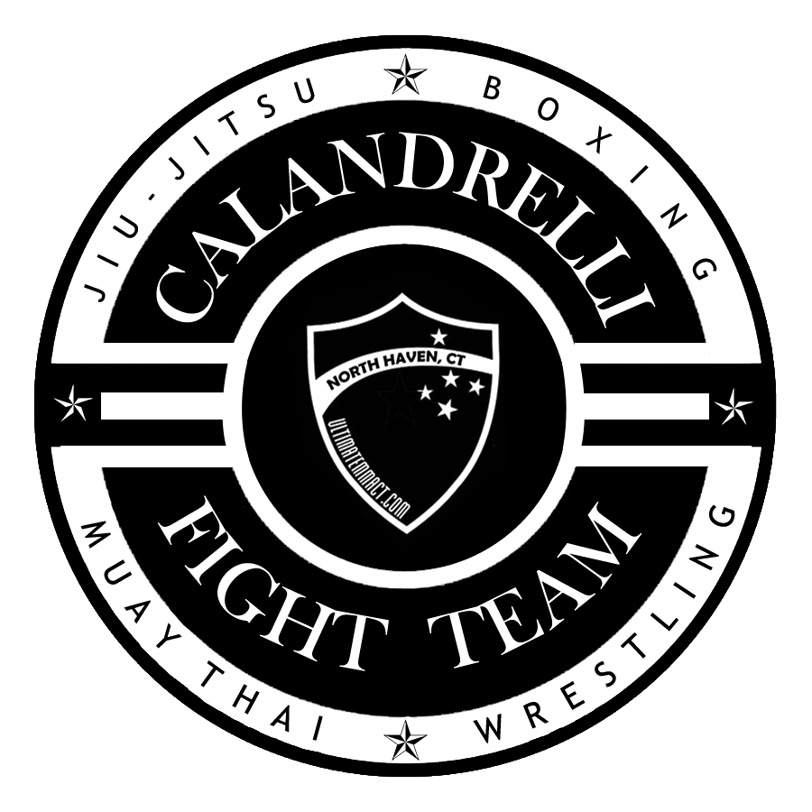 ultimate mma muay thai academy 1