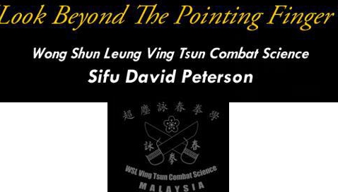 WSL Ving Tsun Combat Science(Malaysia) Sdn. Bhd. 1 wsl ving tsun combat sciencemalaysia sdn bhd